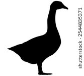 Elegant Swan, Goose, or Duck Silhouette Vector Illustration – Simple Design for Wallpaper, Icon, or Background, Editable and Scalable EPS on White