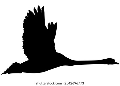 Elegant Swan or Goose or Duck Silhouette Vector in Flight. Black and White Design, Isolated on White, Ideal for Wildlife Illustrations, Logos, and Graphic Projects