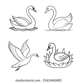 Elegant Swan Line Art Collection Graceful Black and White Drawings.