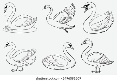 Elegant Swan Line Art Vector – Premium Quality Monochrome Design for Print and Digital Use