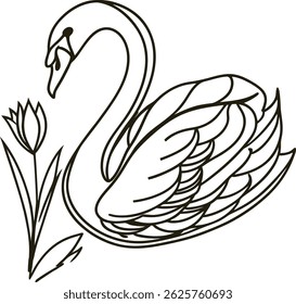 Elegant Swan Vector Outline With Tulip Illustration For Logo Design Element