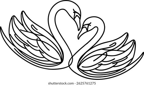 Cisnes Elegantes Em Amor Contorno Vetor Ilustração Decorativa Design Modelo