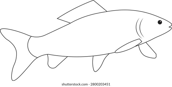 Elegant swimming fish outline vector illustration with clean lines. Perfect for marine themes, fishing businesses, educational materials, seafood branding, and icon collections.