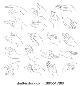 Elegant and tender hands with fingers, vector