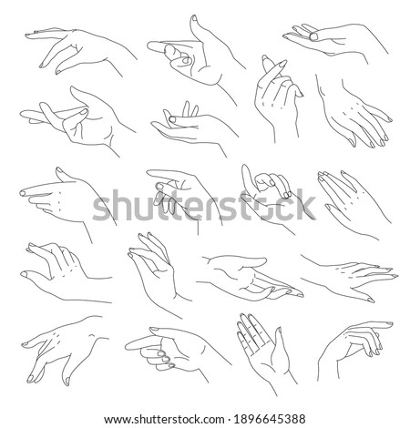 Elegant and tender hands with fingers, vector