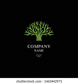 elegant tree brach logo template.  