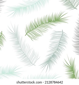 Elegant Tropical Pattern with Palm Leaves Isolated on White Background. Vector Illustration