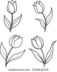 Elegant Tulip Line Art Vector - A Timeless and Minimalist Floral Design for Art Projects