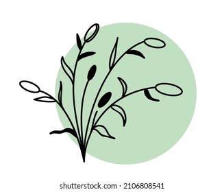 elegant twig and flower black outline. Element for design. Botanical floral element for creating invitations or greetings for spring holidays or wedding. Vector illustration