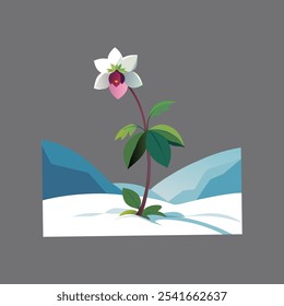 "Elegant vector artwork of Hellebore, a winter flower blooming through the snow. A serene, nature-inspired design perfect for seasonal themes and botanical aesthetics."