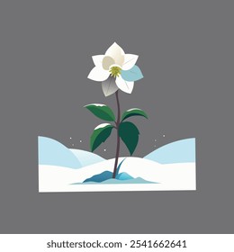 "Elegant vector artwork of Hellebore, a winter flower blooming through the snow. A serene, nature-inspired design perfect for seasonal themes and botanical aesthetics."