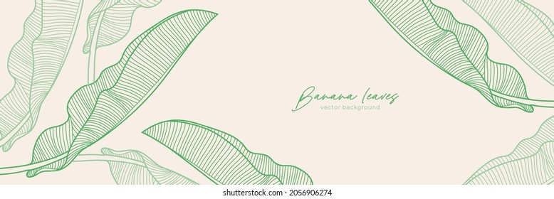 Elegant vector background with green banana leaves