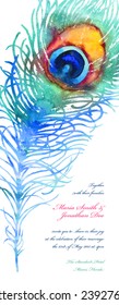 Elegant vector background for wedding invitation with watercolor peacock feather
