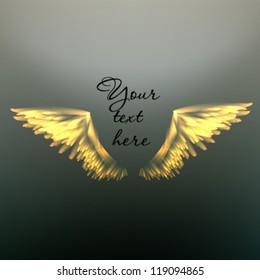 Elegant vector background with wings.