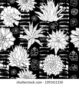 Elegant vector black and white succulent plants seamless pattern in a botanical style with textured striped background. Great for fabric, scrapbooking, web, paper products.