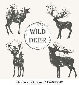 Elegant vector collection of forest animal high detailed silhouettes
