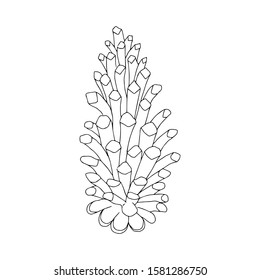 Elegant vector floral illustration. Floral element. Hand drawn illustration