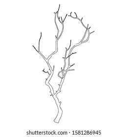 Elegant vector floral illustration. Floral element. Hand drawn illustration