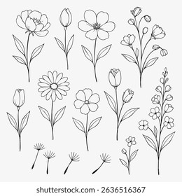 Elegant Vector Flower Collection Featuring a Variety of Hand-Drawn Floral Elements Ideal for Botanical Designs Invitations and Decorative Projects for Graphic Artists and Designers