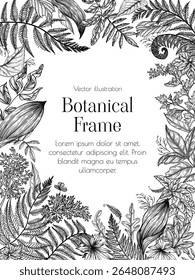 Quadro vetor elegante com folhas diferentes. Modelo de ilustração com folhas de floresta. Impressão folhosa para cartão. Convite botânico com plantas