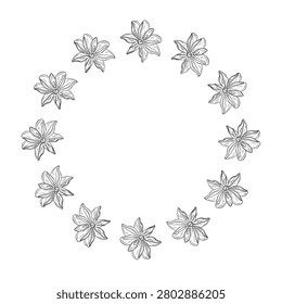 Elegant vector frame with hand drawn star anise in botanical line art style. Decorative spice border for menus, recipe cards, packaging, labels, branding, food design, and culinary projects