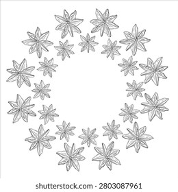 Elegant vector frame with hand drawn star anise in botanical line art style. Decorative spice wreath for recipe cards, menus, packaging, labels, branding, food design, and culinary projects
