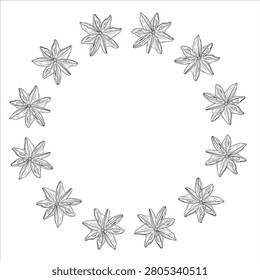 Elegant vector frame with hand drawn star anise in botanical line art style. Decorative spice border for recipe cards, menus, packaging, labels, branding, food design, and culinary projects