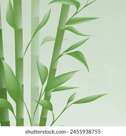 Elegant vector hand painted bamboo illustration