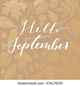 Elegant vector "Hello September" quote. Hipster calligraphic phrase. Leaves background.