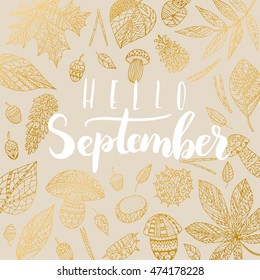 Elegant vector "Hello September" quote. Hipster calligraphic phrase. Leaves background.