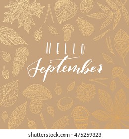 Elegant vector "Hello September" quote. Hipster calligraphic phrase. Leaves background.