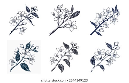 Ilustração vetorial elegante de um feixe de seis delicados ramos floridos de flor de cereja