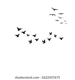 
Elegant vector illustration of flying birds in motion perfect for nature-themed designs, backgrounds, and wildlife.