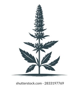 An elegant vector illustration of a single mint herb plant featuring detailed serrated leaves and a tall blooming flower spike in a clean graphic style