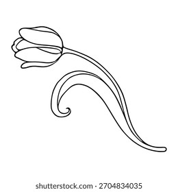 Elegante Ilustración vectorial de un solo tulipán y follaje fluido con un caprichoso florecimiento, representado en líneas negras limpias sobre un fondo blanco.