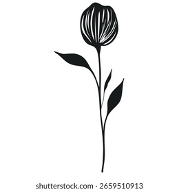 Elegant vector illustration of a stylized black flower with linear textured petals and simple leaves, isolated on white background.