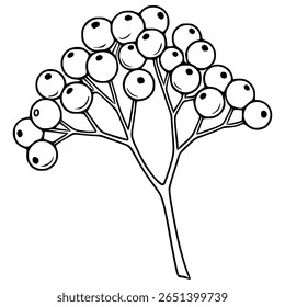 Elegant vector illustration of a stylized branch with berries, perfect for design projects needing a touch of nature-inspired simplicity.