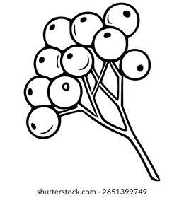 Elegant vector illustration of a stylized sprig with round berries, perfect for design projects requiring a touch of minimalist nature.
