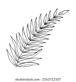 Elegant vector illustration of a willow branch with delicate leaves on a white background. This minimalist design is perfect for botanical prints, modern decor, and nature-inspired projects