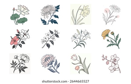 Elegant vector illustrations of twelve diverse floral arrangements and botanical elements