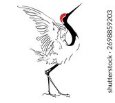 Elegant vector line art of a red-crowned crane with wide wings. Minimalistic Asian style bird illustration for decor, tattoo, logo, print.