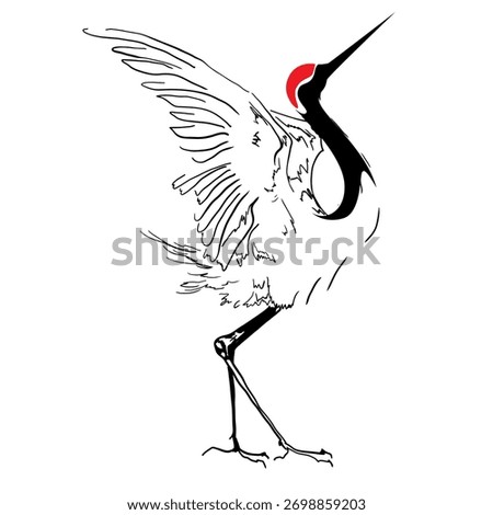 Elegant vector line art of a red-crowned crane with wide wings. Minimalistic Asian style bird illustration for decor, tattoo, logo, print.