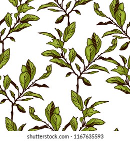 Elegant vector seamless pattern with a branch of willow and green leaves.