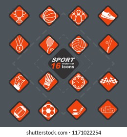 Elegant vector sport 16 icon set and badges 