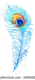 Elegant vector watercolor peacock feather, blue and orange