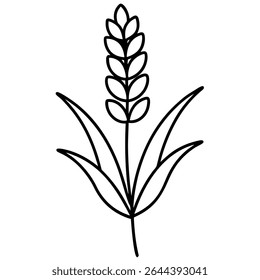 Elegant and versatile black and white vector illustration featuring a simple wheat plant in an outline style.