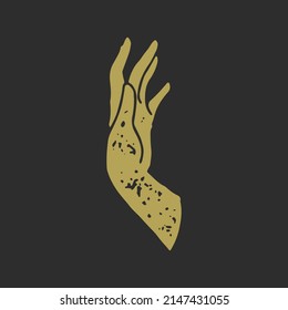 Elegant vertical raised female hand with fingers manicure minimalist drawing antique grunge texture vector illustration. Romantic lady arm symbol tenderness, elegance, plastic surgery and skin care