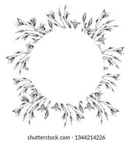 Elegant vintage frames with field summer flowers, made with ink. Delicate and romantic floral design elements, perfect for prints and patterns, wedding, wrapping, scrapbooking - Stock Illustration.