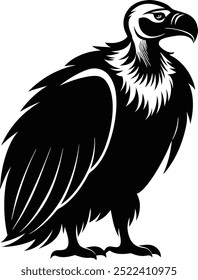 Elegant Vulture Silhouette in Black - Vector Art on White Background