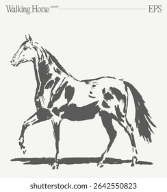 An Elegant Walking Horse Illustration Perfect for Your Creative Projects and Ideas